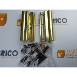 Bisagra de puerta 1124.30 Summa ORO (2 unidades)