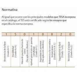 Cilindro TESA 5200 30x60 Latón Leva corta