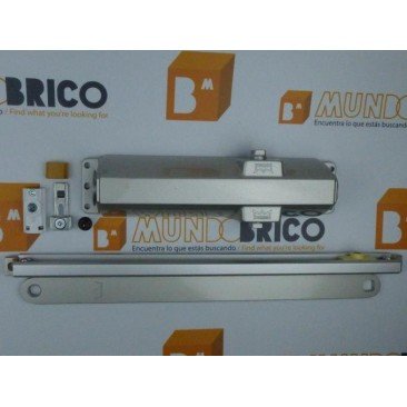 Muelle DORMA TS-90 Con Retención PLATA