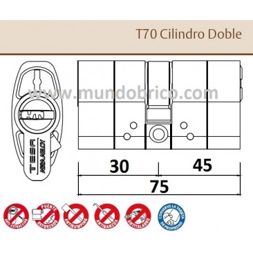 Bombillo TESA T-70 30x45 Niquelado Leva alta doble embrague